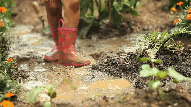 美国弗吉尼亚州里士满，女孩(4-5人)在菜园的泥里跳来跳去视频素材