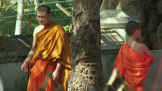在老挝琅勃拉邦的院子里踱步的MS Monk视频下载