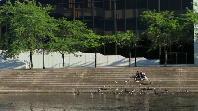 美国华盛顿州斯波坎市，人们坐在表演艺术中心大楼的台阶上喂鸭子视频下载