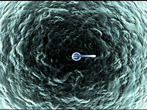 精子与卵子(SD)视频素材