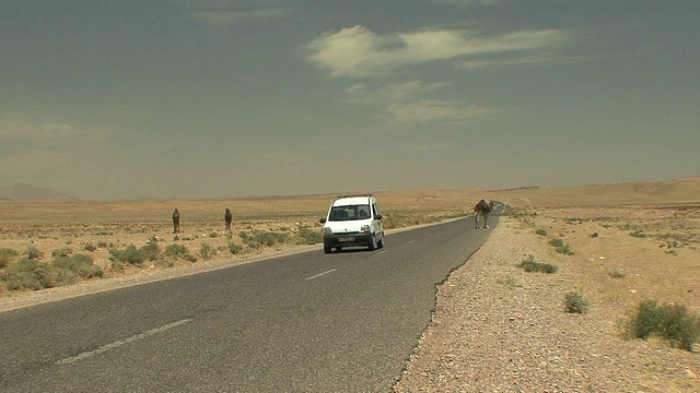 在摩洛哥艾特·艾萨·奥布拉欣，骆驼穿过马路时迎面驶来的车辆视频素材