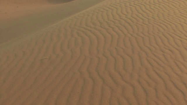 摩洛哥Erg Chebbi沙漠沙丘上的WS HA沙地图案视频下载