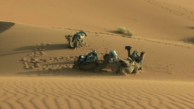WS HA TU沙地图案在Erg Chebbi沙漠与图阿雷格在背景，摩洛哥视频下载