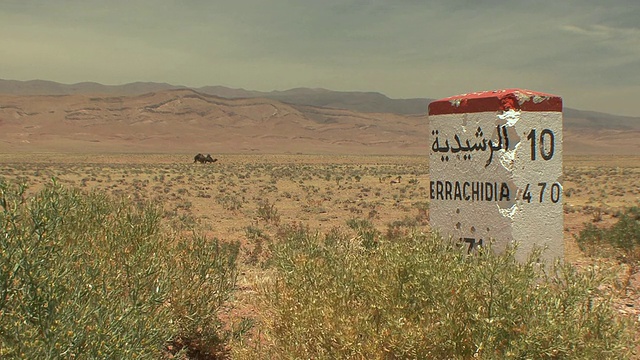 摩洛哥Ait Aissa Oubrahim公路标志，背景是在吃草的骆驼视频素材