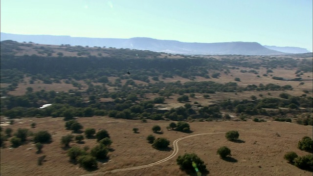 WS TS POV ZI空中直升机飞过克鲁格国家公园/克鲁格国家公园，普马兰加，南非视频素材