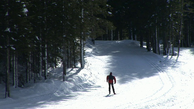HD:在大自然中滑雪视频素材