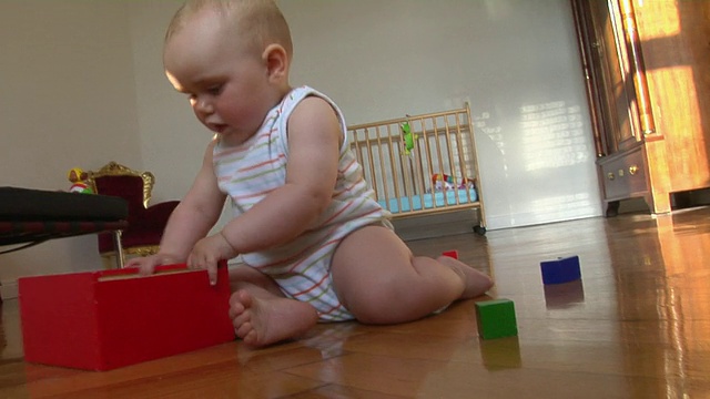 小女孩(6-11个月)坐在地板上玩积木，德国柏林视频素材