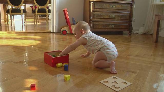 MS小女孩(6-11个月)坐在地板上玩积木，德国柏林视频素材