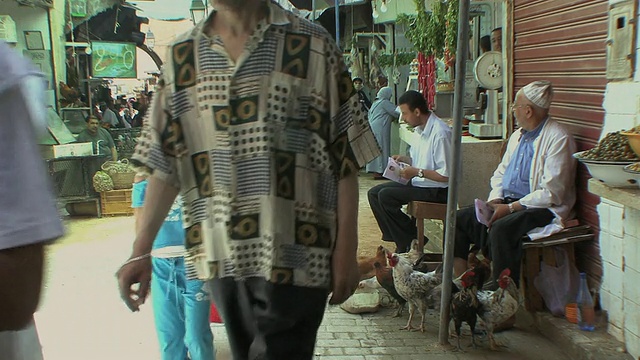 摩洛哥非斯，人们经过卖家禽的小贩视频素材