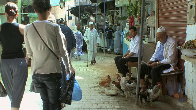 摩洛哥非斯，人们经过卖家禽的小贩视频素材