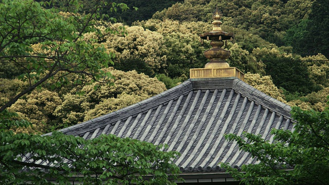 日本京都清水寺的传统日本屋顶，周围环绕着树木视频素材