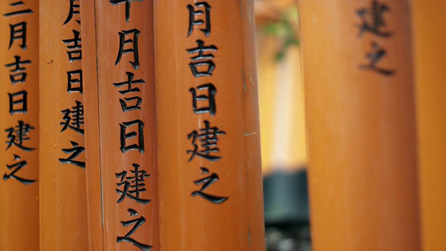 日本京都，通往Fushimi Inari Taisha神社内部的牌坊门视频素材