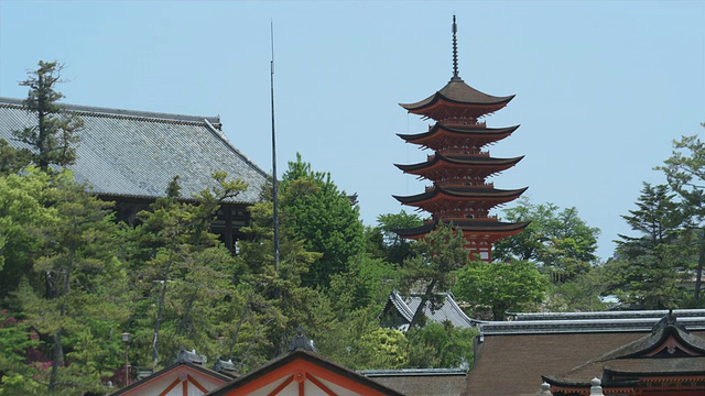严岛神社的建筑屋顶，背景是宝塔，日本宫岛视频素材