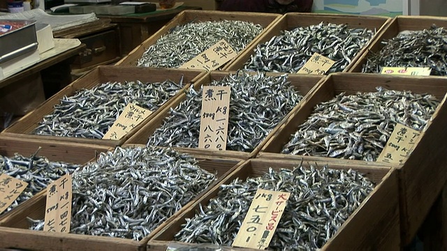 东京筑地鱼市出售的干鱼视频素材