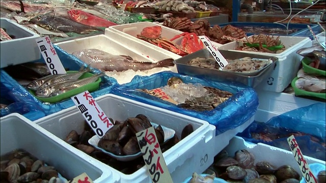 东京筑地鱼市的鱼和蛤蜊视频素材