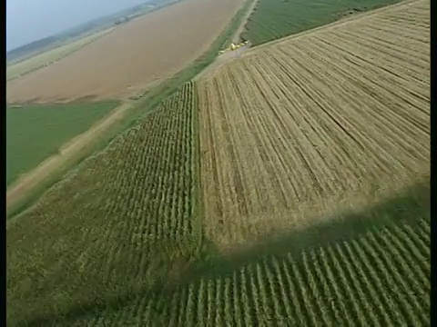 空中WS作物喷粉机在以色列加利利的农田上行动视频下载