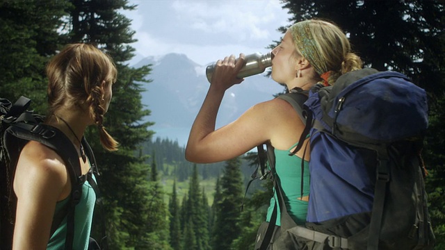 加拿大不列颠哥伦比亚省斯阔米什加里波第省公园，两名女徒步者一边喝着烧瓶里的水，一边看着背景中的山视频素材