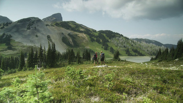 加拿大不列颠哥伦比亚省斯阔米什加里波第省公园，两名女徒步者正在山间景观中行走视频下载