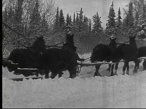 1927年，加拿大安大略省，蒙太奇公司，马车在雪堆中行进视频素材