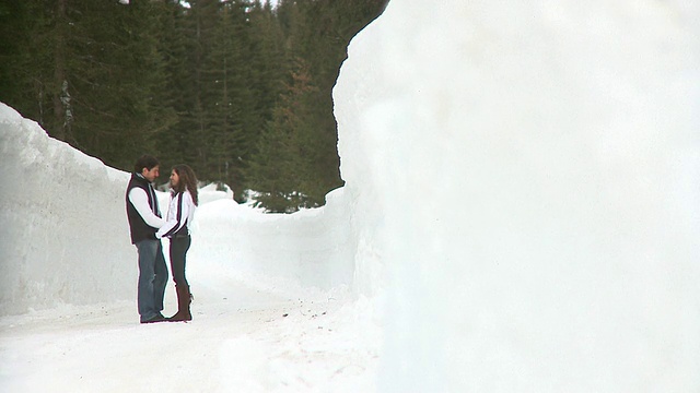 HD:冬日里的一对夫妇视频素材