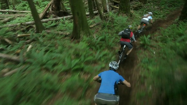 WS POV男人和女人山地自行车通过森林/ Squamish，不列颠哥伦比亚省，加拿大视频下载