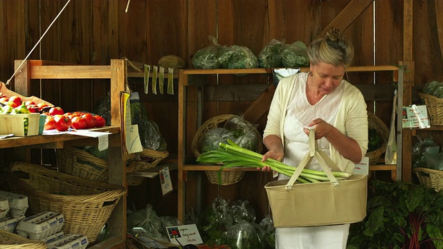 美国佛蒙特州多塞特的一名成年妇女在当地的农场小摊上购物视频素材