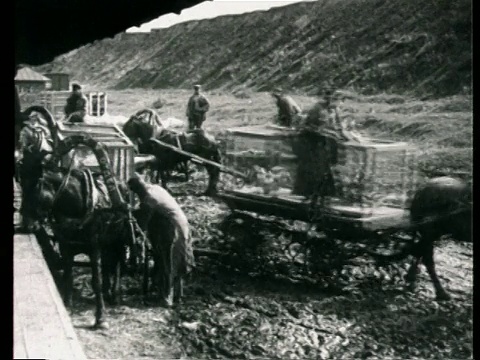 1923年蒙太奇B/W马车运输笼里的鹅为全联盟农业展览会/莫斯科，俄罗斯视频素材