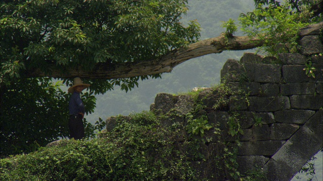 中国广西壮族自治区桂林，农夫站在树下视频下载