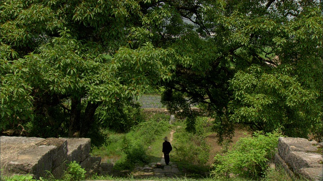 在中国广西壮族自治区桂林，屠曼正走下被大树遮蔽的石阶视频下载