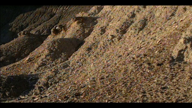 在新墨西哥州Bisti/De-Na-Zin荒野地区的荒地上，从土壤向上翻到被侵蚀的岩层表面视频素材