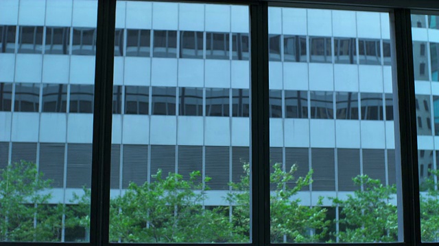 MS Office大楼窗户，芝加哥，伊利诺伊州，美国视频下载
