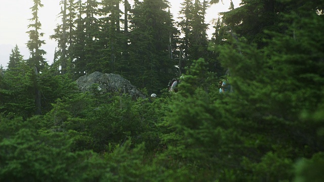 三名骑行者在加拿大不列颠哥伦比亚省海岸山脉的山路上骑行视频素材