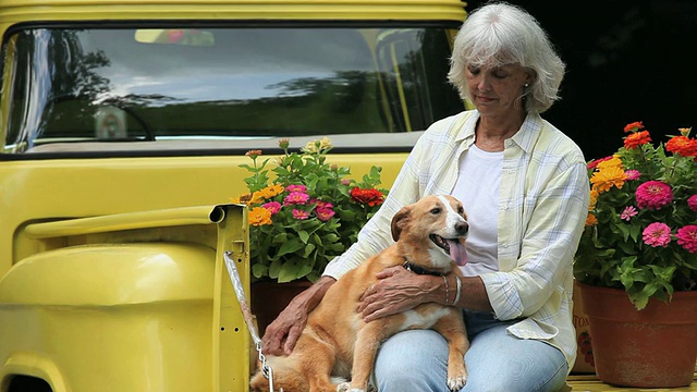 美国弗吉尼亚州里士满，一名女子在一辆古董皮卡车上抚摸着一只小狗视频下载