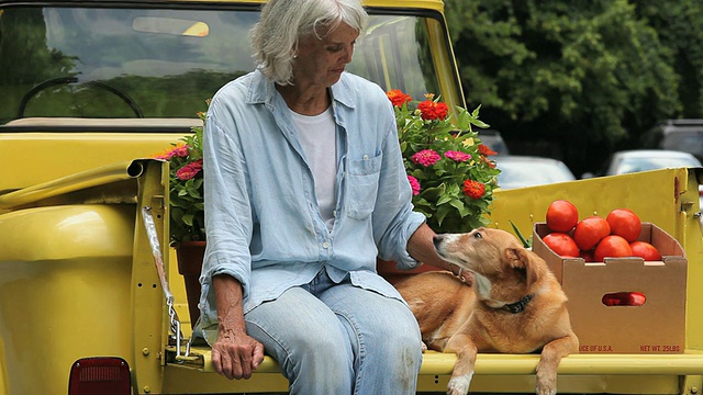 美国弗吉尼亚州里士满，一名女士在古董皮卡车的床上抚摸着小狗，背景是盆花视频下载