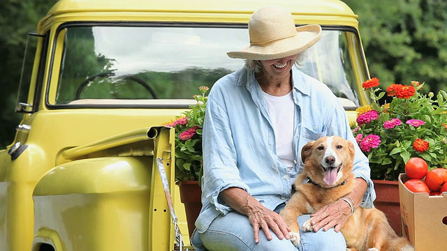 美国弗吉尼亚州里士满，一名妇女在一辆古董皮卡车的床上抚摸着一只狗，背景是盆花视频下载