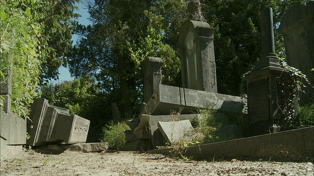 在比利时布鲁塞尔的公墓，破碎和倒下的墓碑视频素材