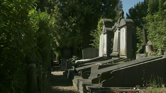 比利时布鲁塞尔公墓的古老墓碑视频素材