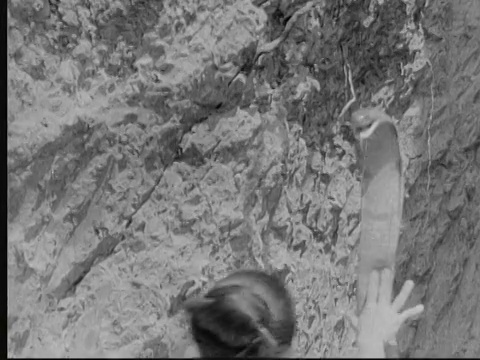 1930年蒙太奇女祭司与眼镜蛇共舞/缅甸/音频视频下载