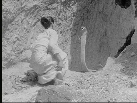 1930年，蒙太奇女祭司引诱眼镜蛇出洞，并试图在蛇神仪式中亲吻它的头部/缅甸/音频视频下载