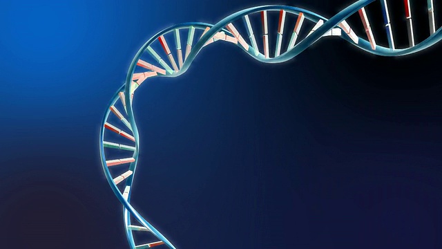 DNA动画-高清视频素材
