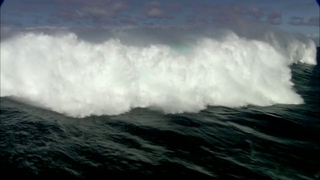 美国夏威夷卡胡卢伊，大型海浪形成和破碎视频素材