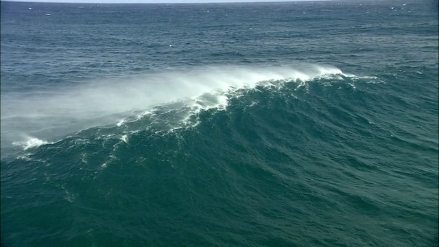 美国夏威夷卡胡卢伊，大海浪形成和破碎视频素材