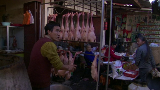 MS CU家禽摊贩，在云南微山市场的死鸭架上出售视频下载