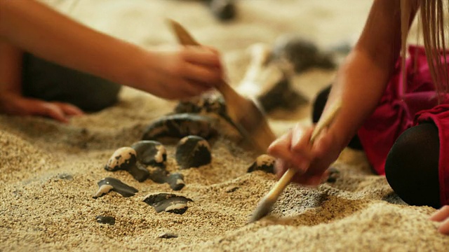 两名女孩(4- 5,6 -7)在美国犹他州利希自然历史博物馆的发掘现场刷着化石上的沙子视频下载