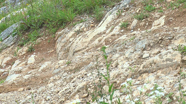 ECU 4x4汽车驾驶上陡峭的岩石山，Vrhnika，斯洛文尼亚视频素材