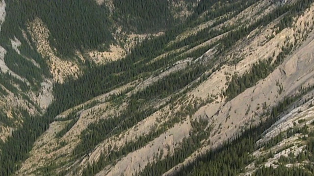 加拿大阿尔伯塔省贾斯珀国家公园的落基山脉视频下载