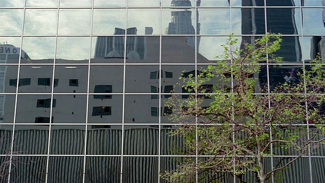 宽镜头侧办公大楼与镜像的窗户，其他建筑的反射，和树/查尔斯顿，南卡罗来纳州视频下载