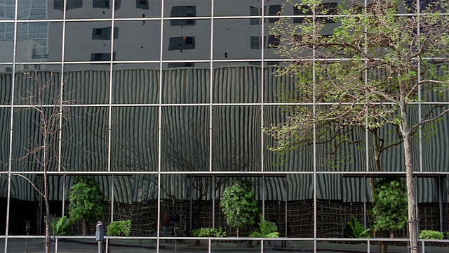 宽敞的办公大楼与镜像的窗户反射其他建筑，树/查尔斯顿，南卡罗来纳州视频下载
