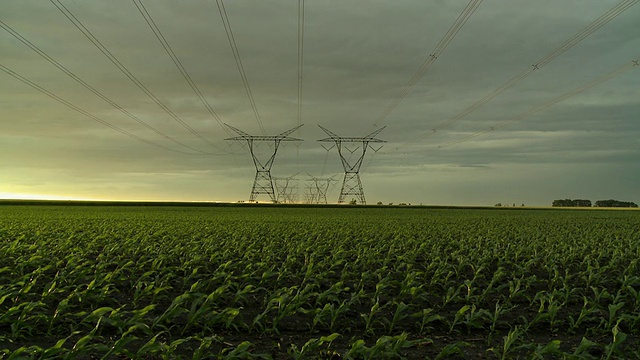 美国伊利诺斯州纽瓦克，玉米田上的高压电线视频下载