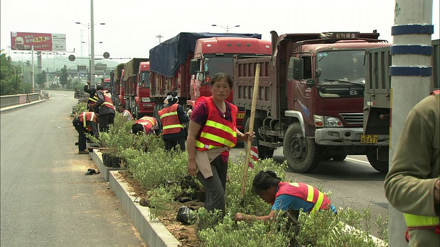 中国北京，在高速公路中间种植灌木的WS工人视频素材